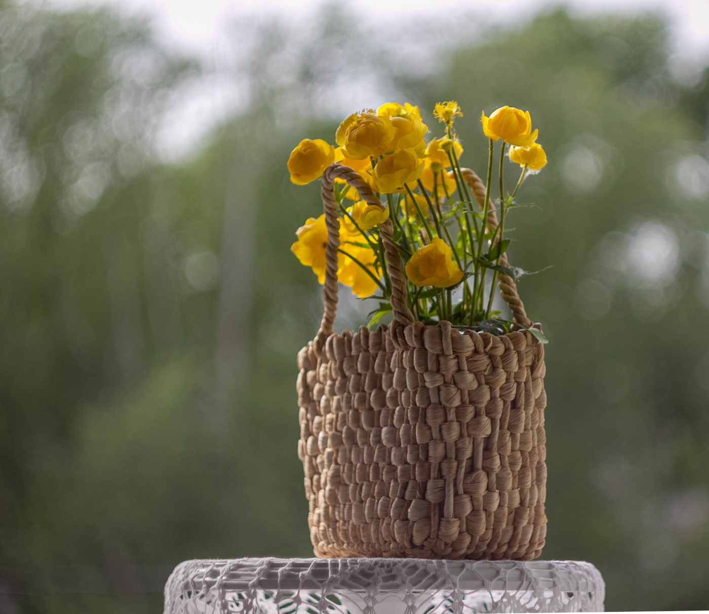 Купальницы