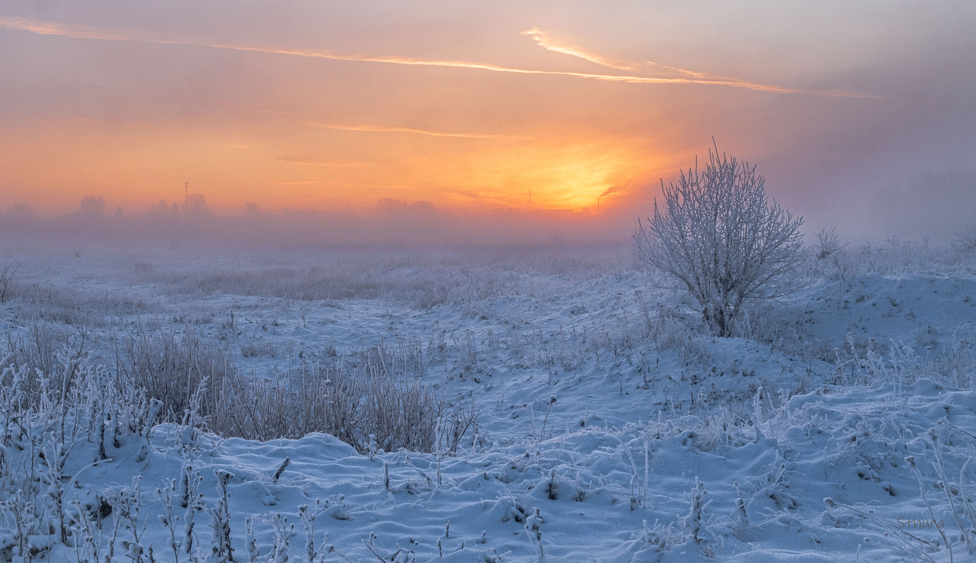 Утро в марте.