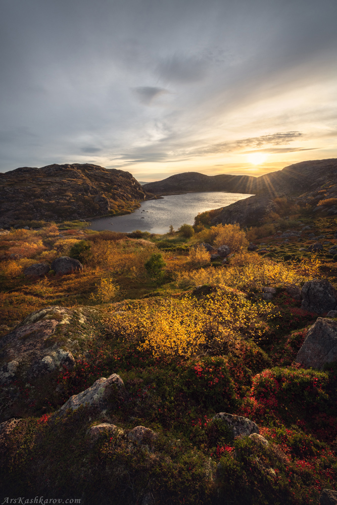 "Арктическая клумба"