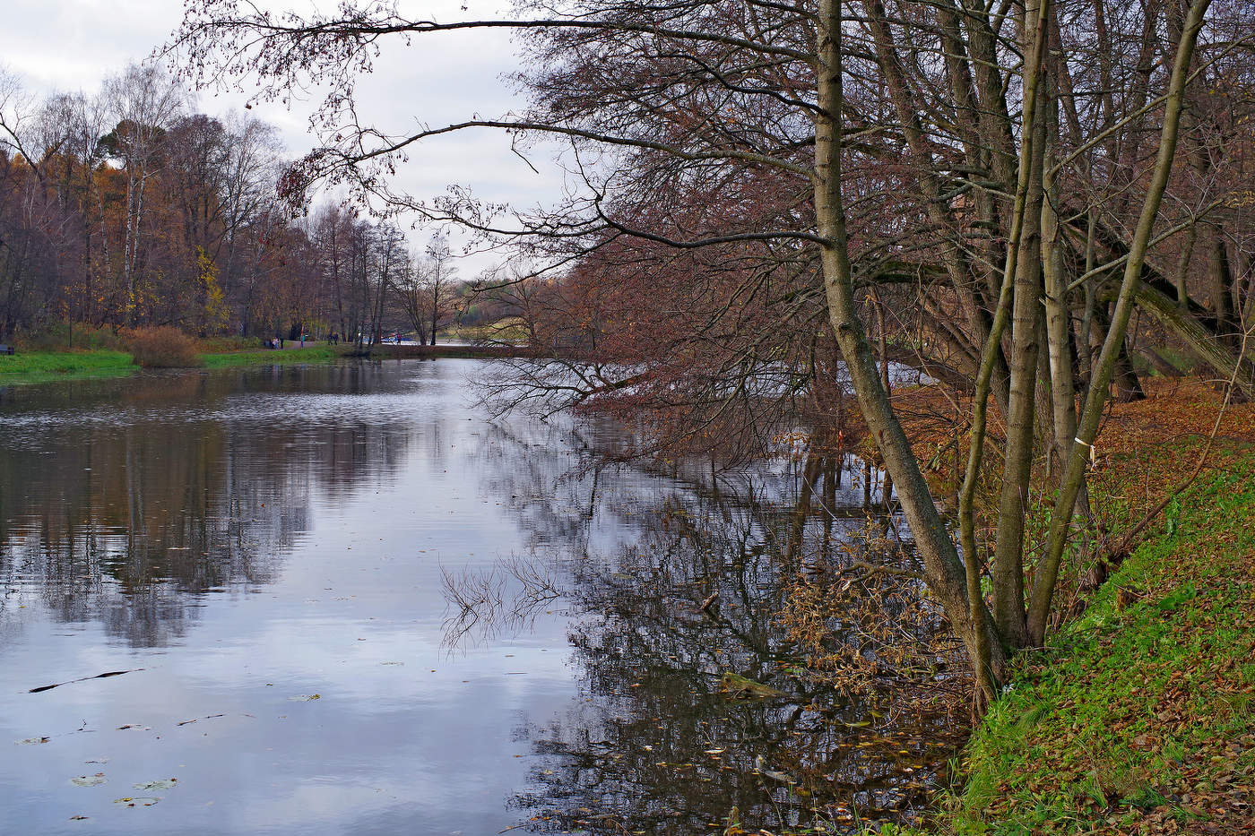 Нижний Кузьминский пруд