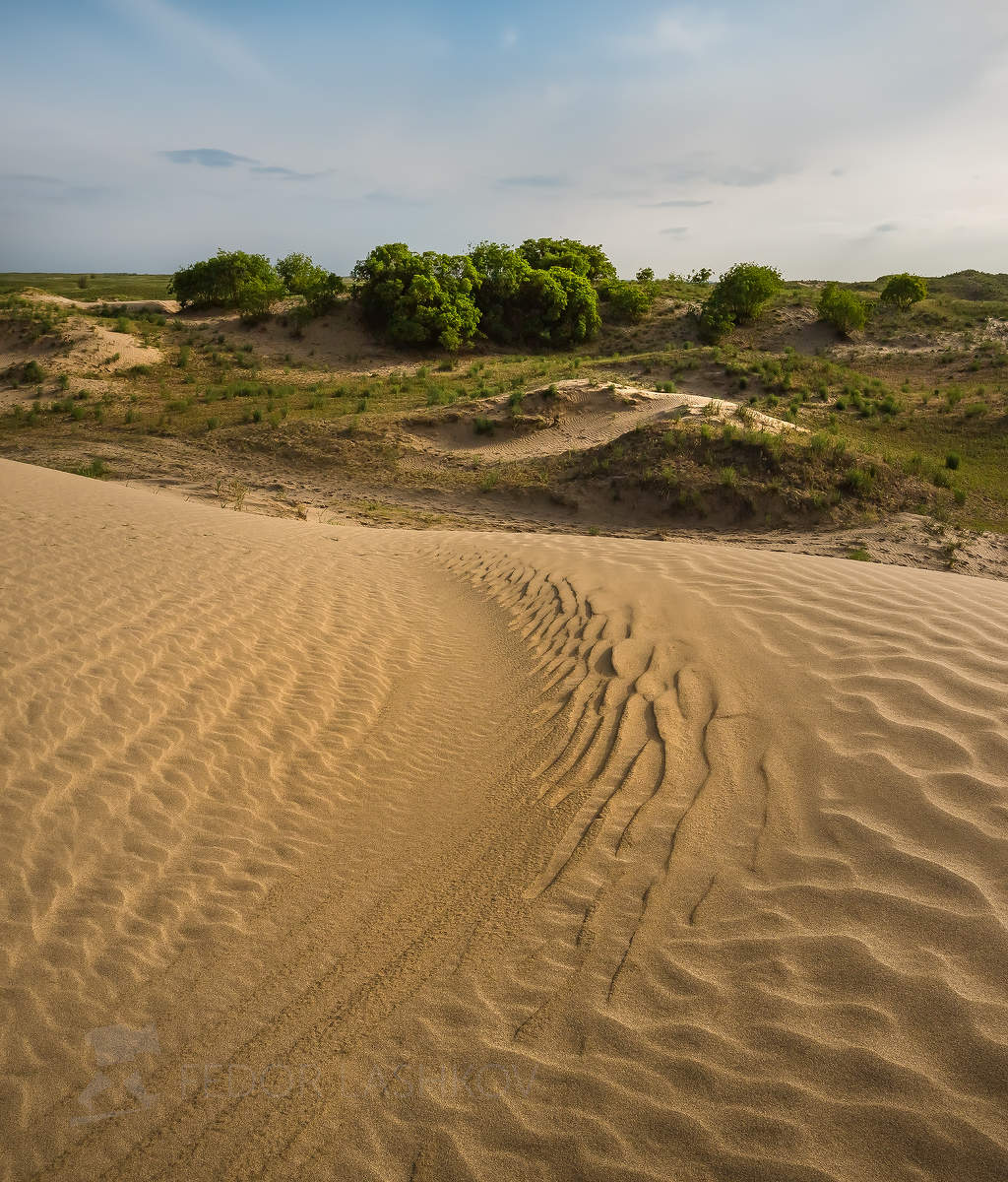 Из серии: «Многоликая земля»