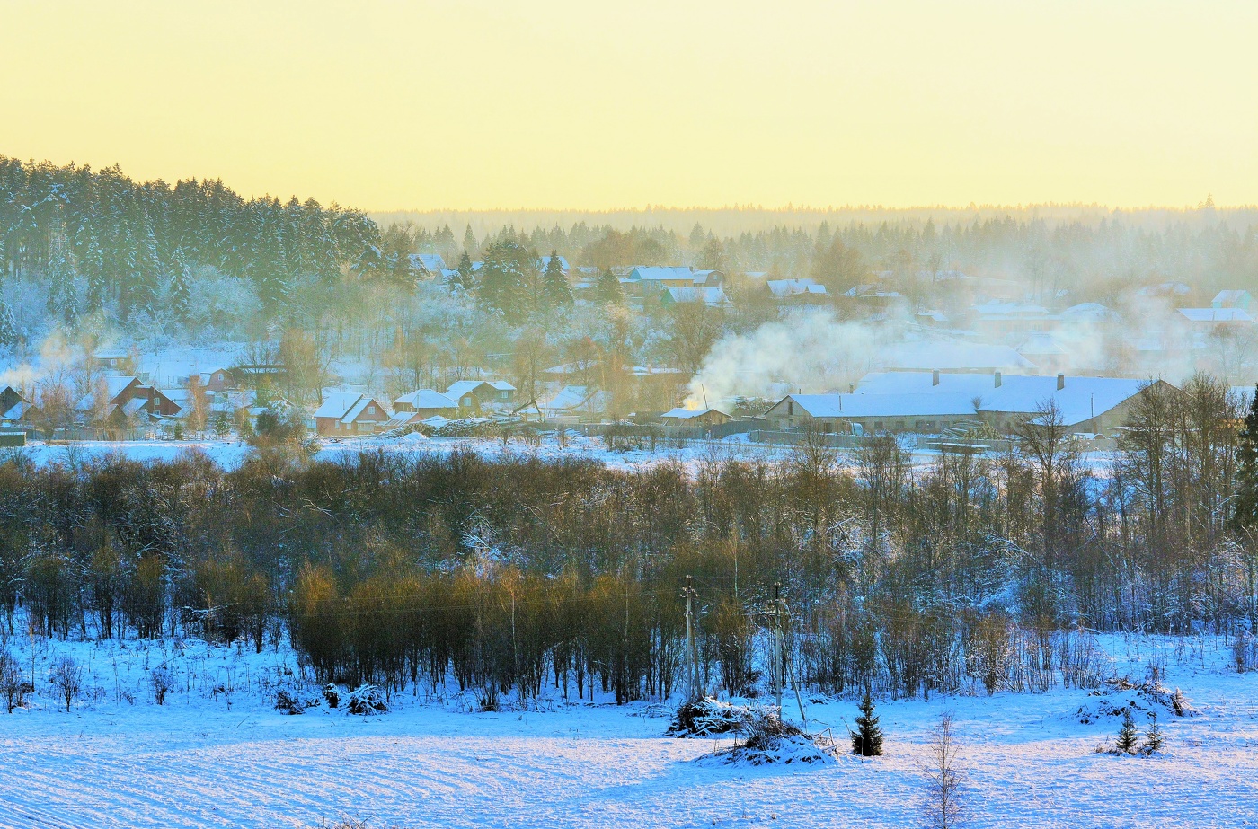 Морозный день ...