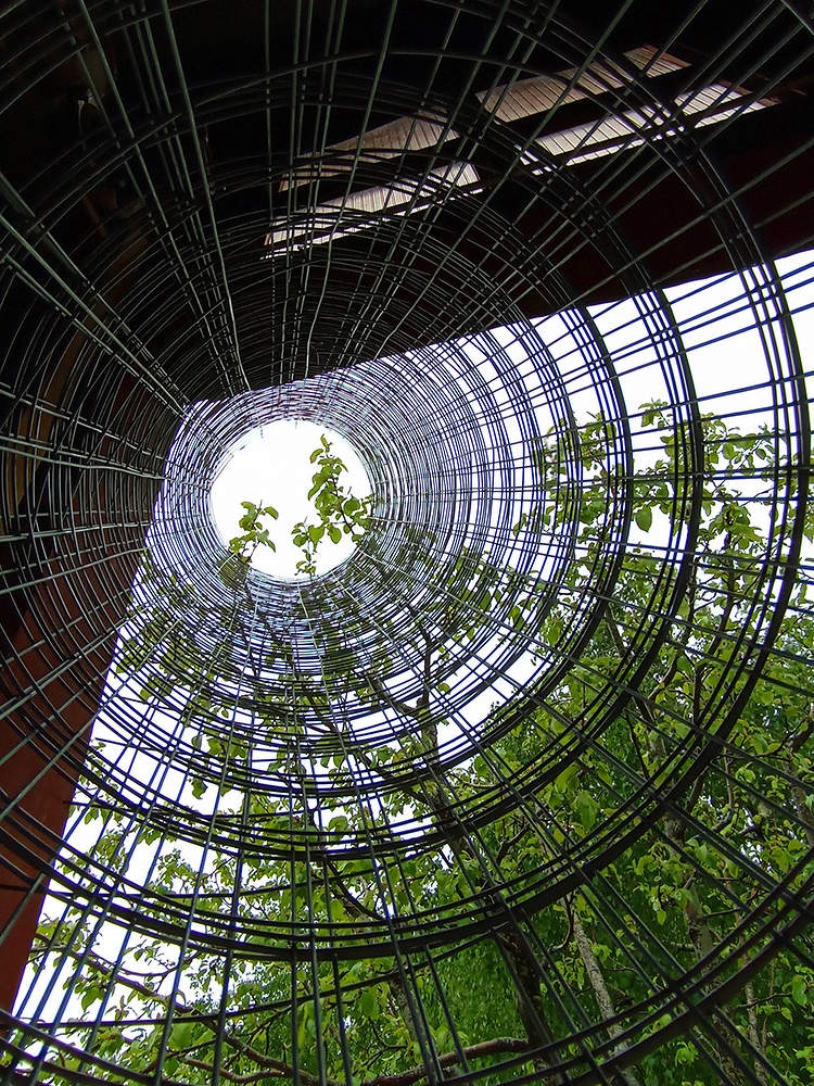 Без названия #365