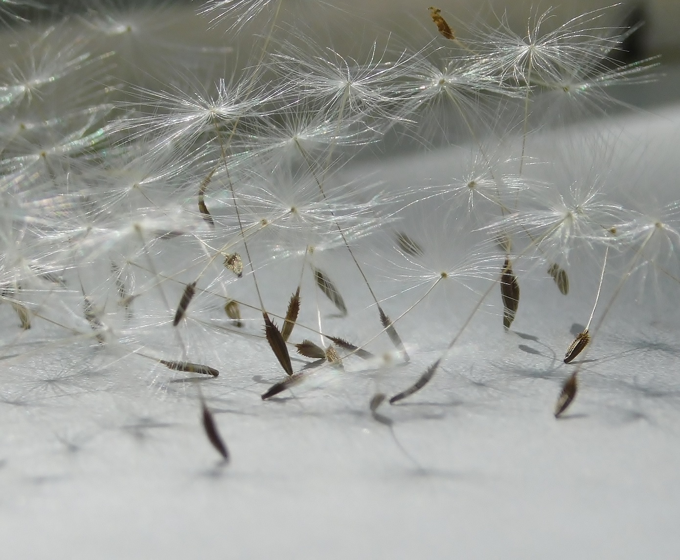 Мимолетное