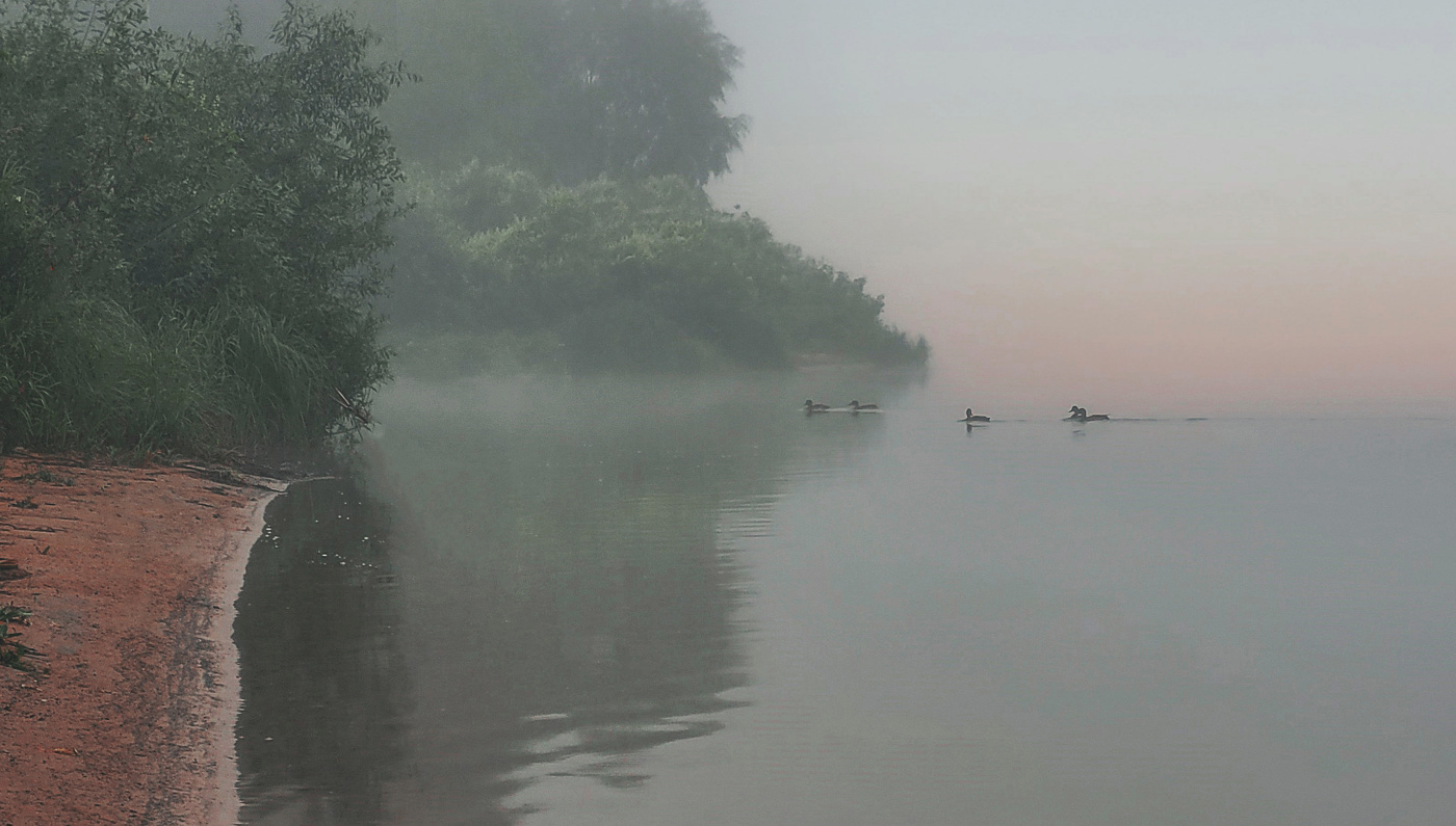 В утреннем тумане.