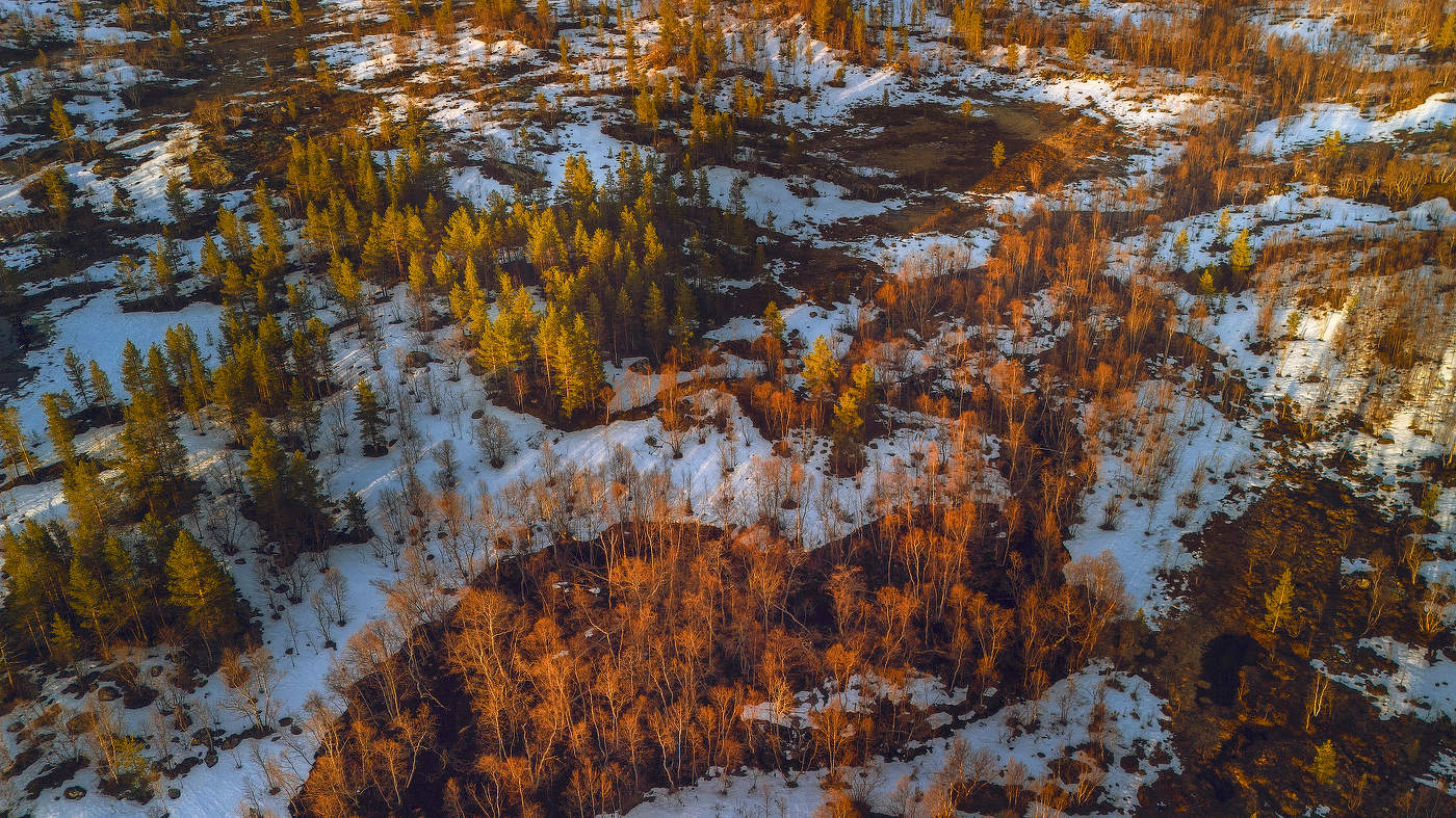 Цвета рассвета