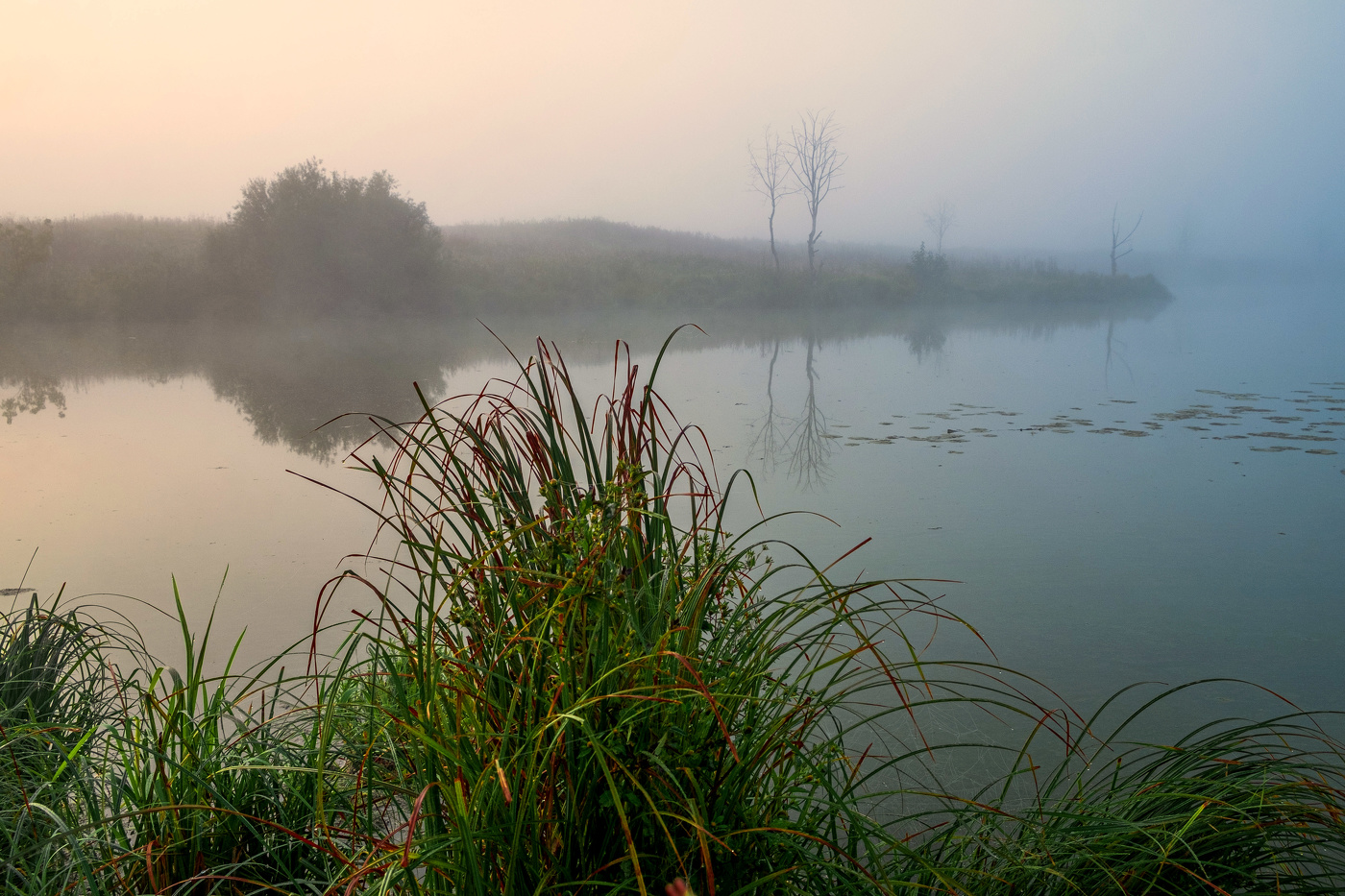 В конце августа.