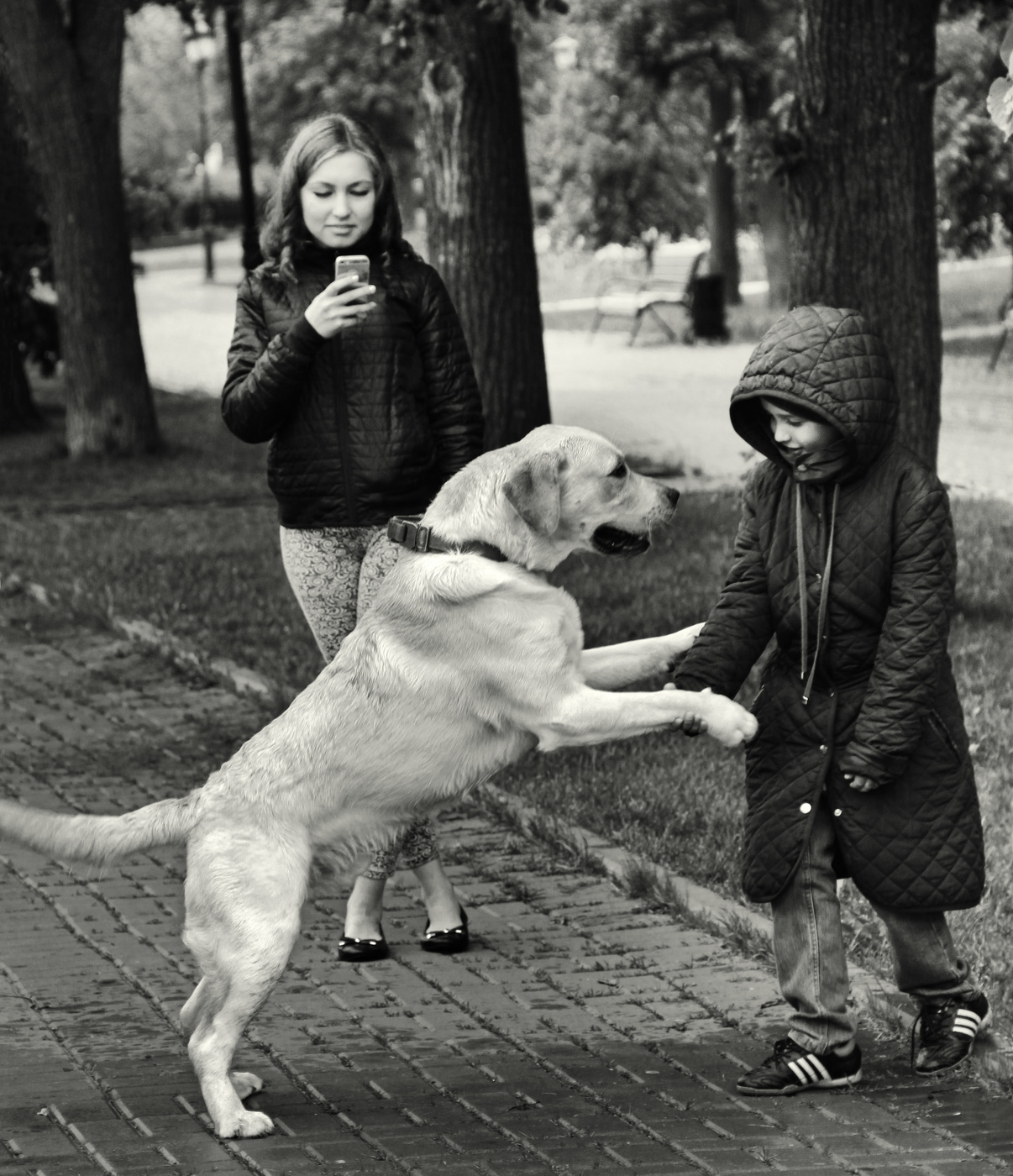 "А поговорить?"