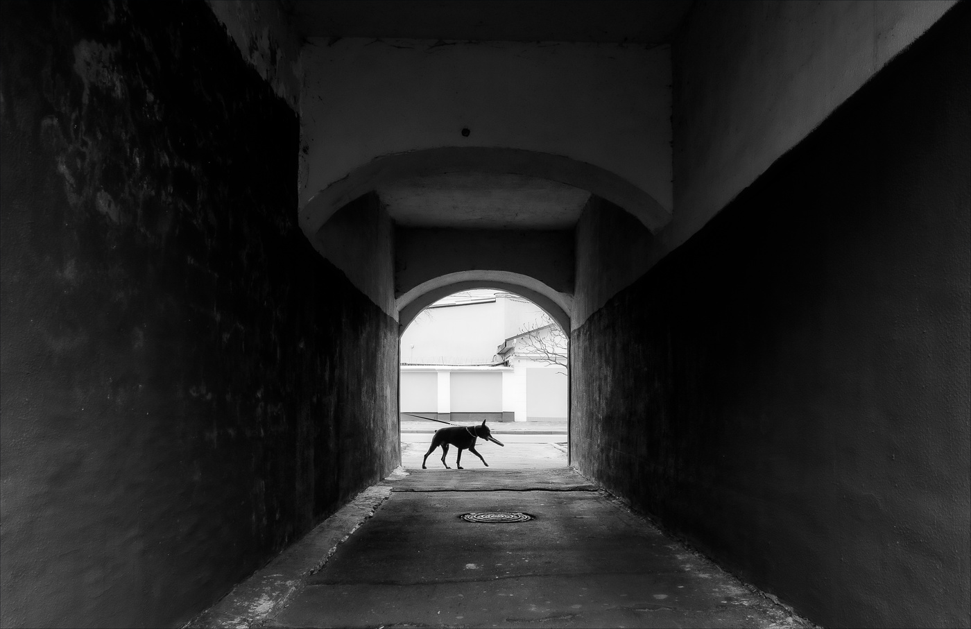 НИТЬ ДОВЕРИЯ