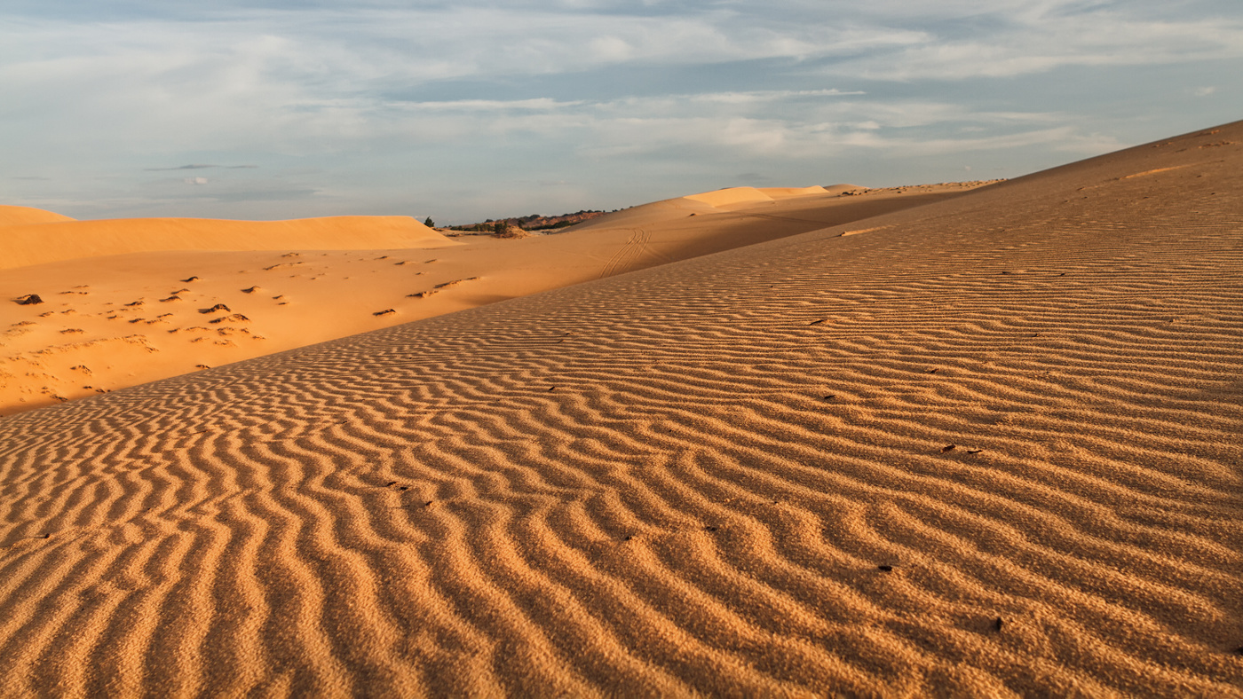 Утро в дюнах