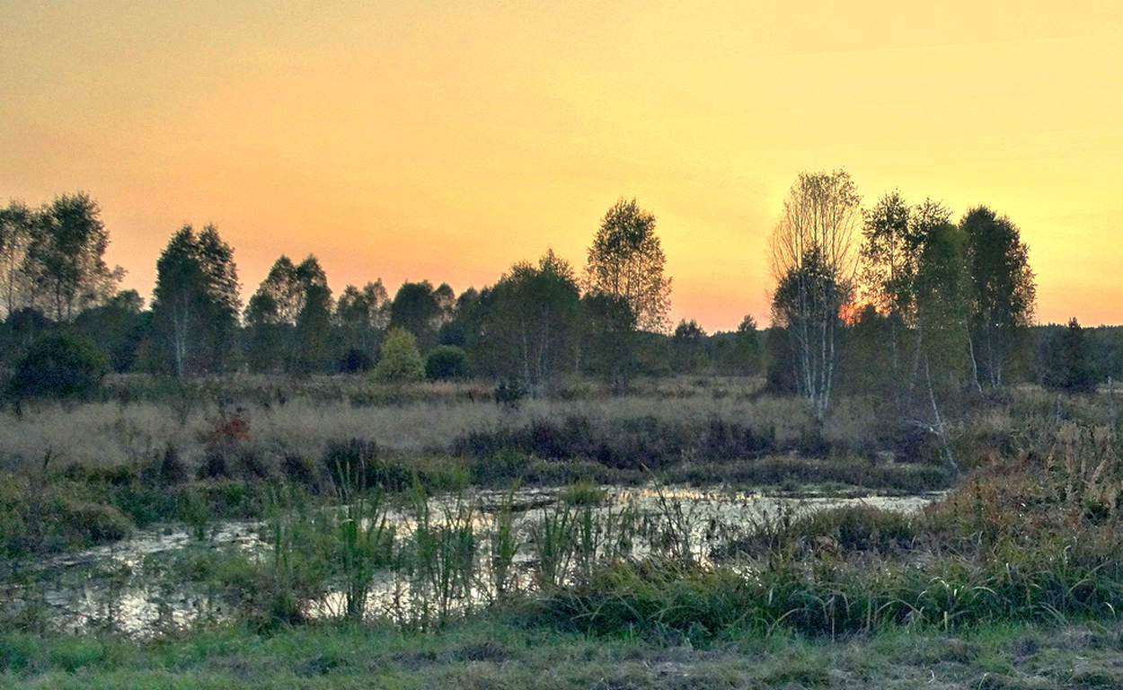 Вечер в Полесье