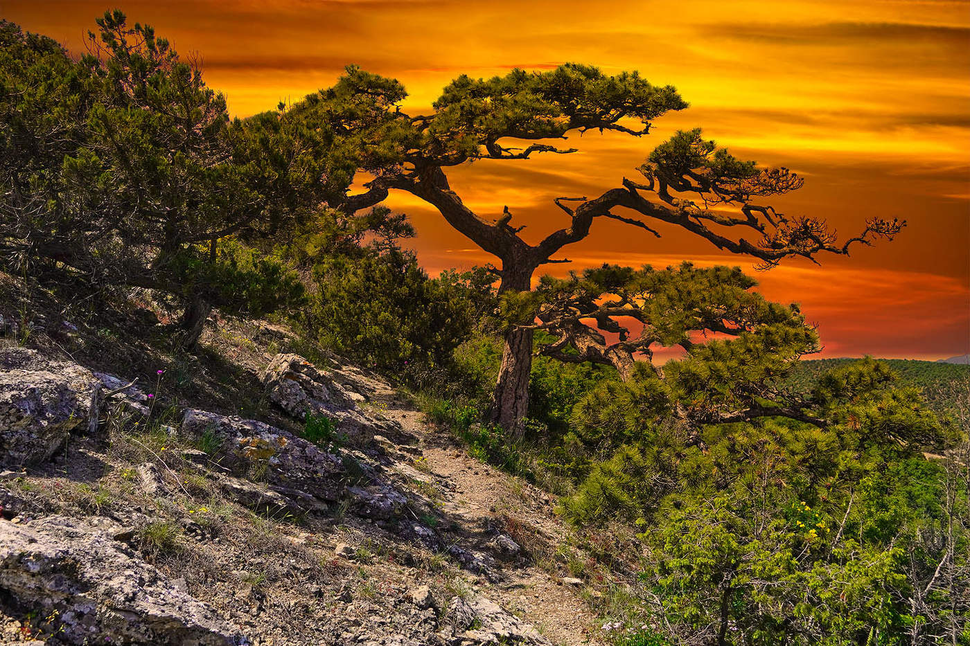 На склонах Сокола