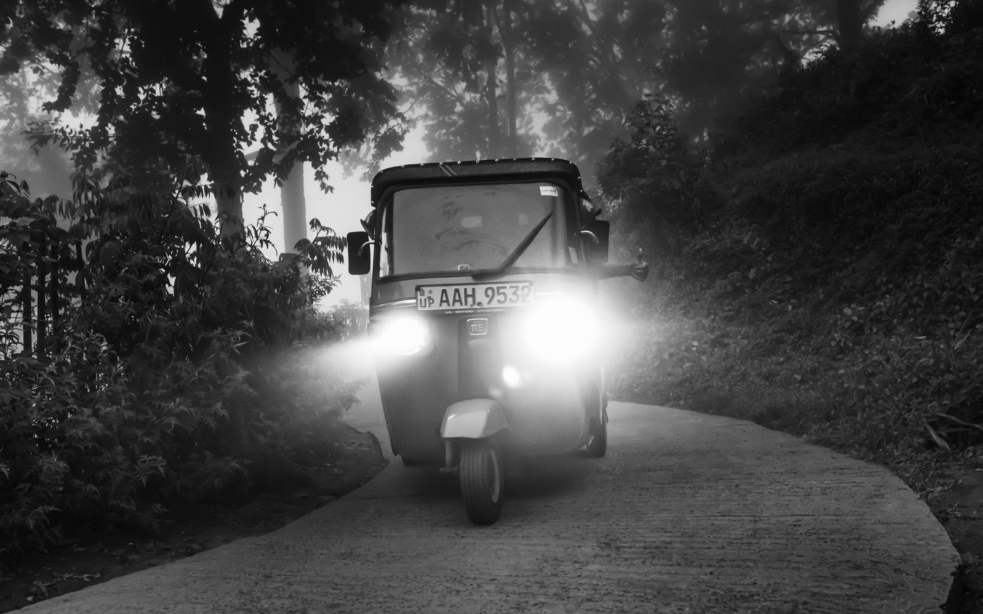 Выплывают из тумана ...