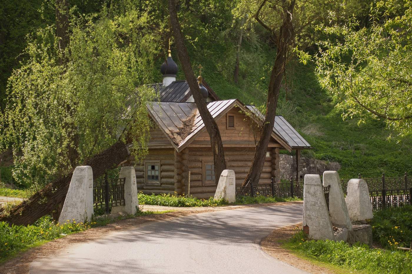 Майский сюжет из Тарусы