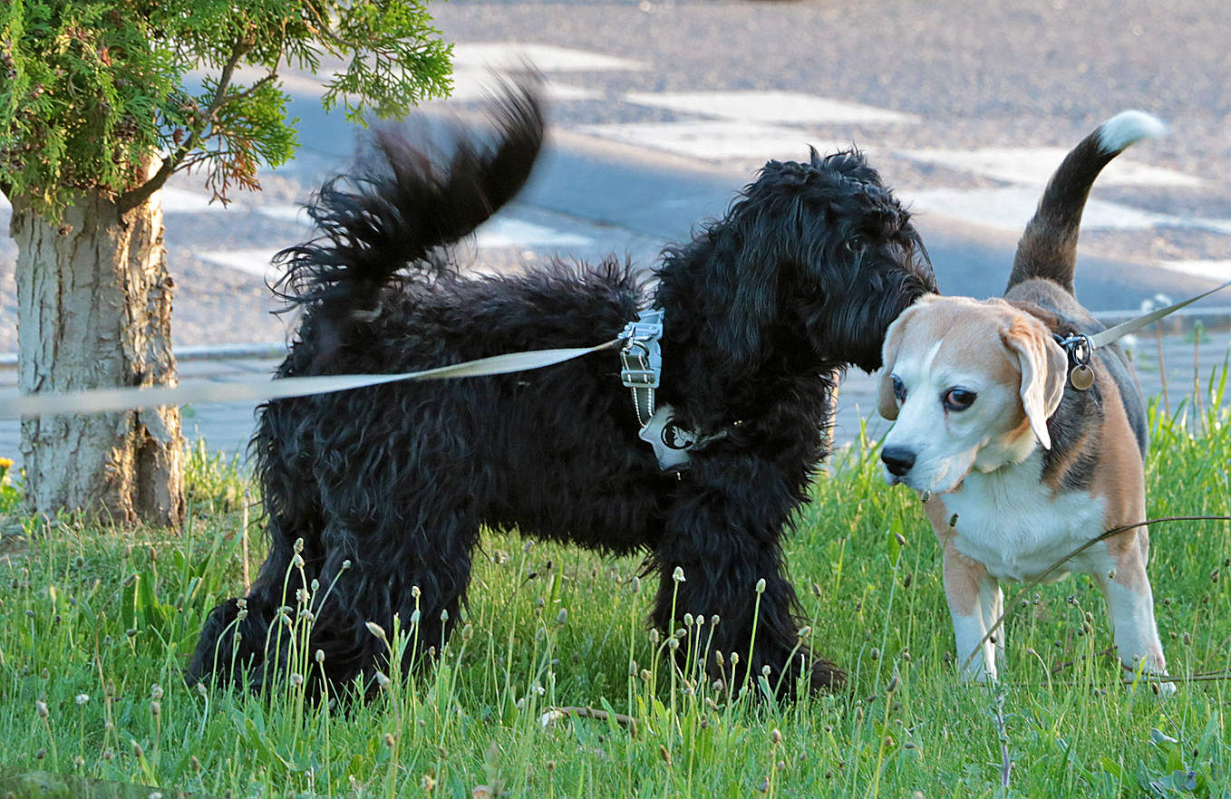 По секрету всему свету