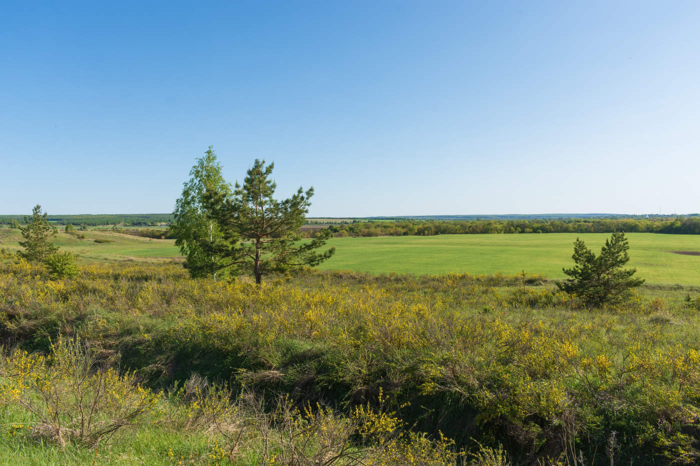 Всё сияет вокруг от потоков лучистого света!