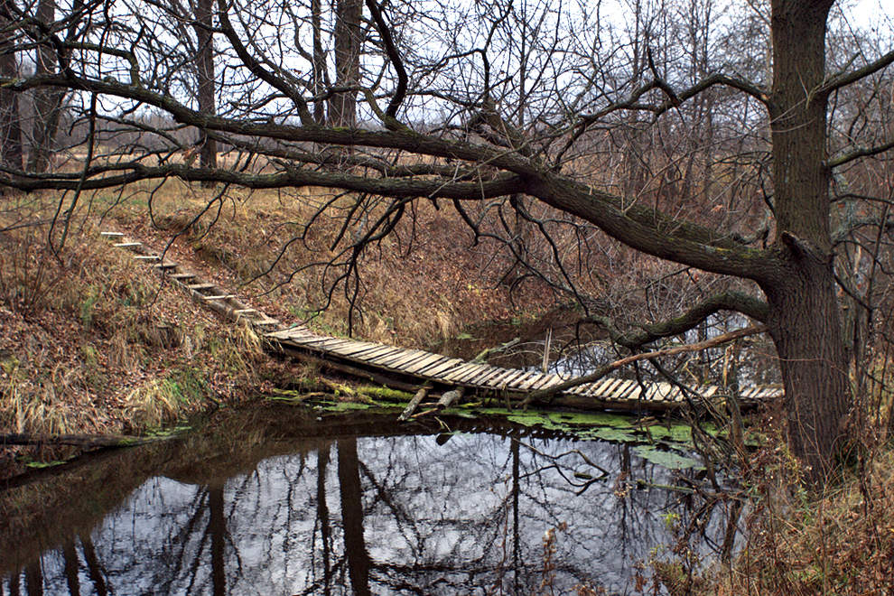 Заколдованный ручей.