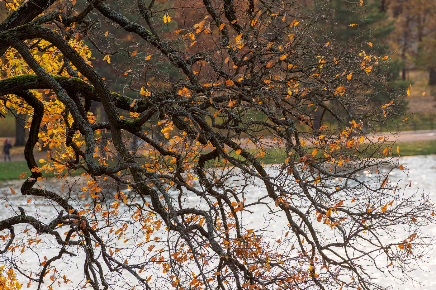 Екатерининский парк осенью.