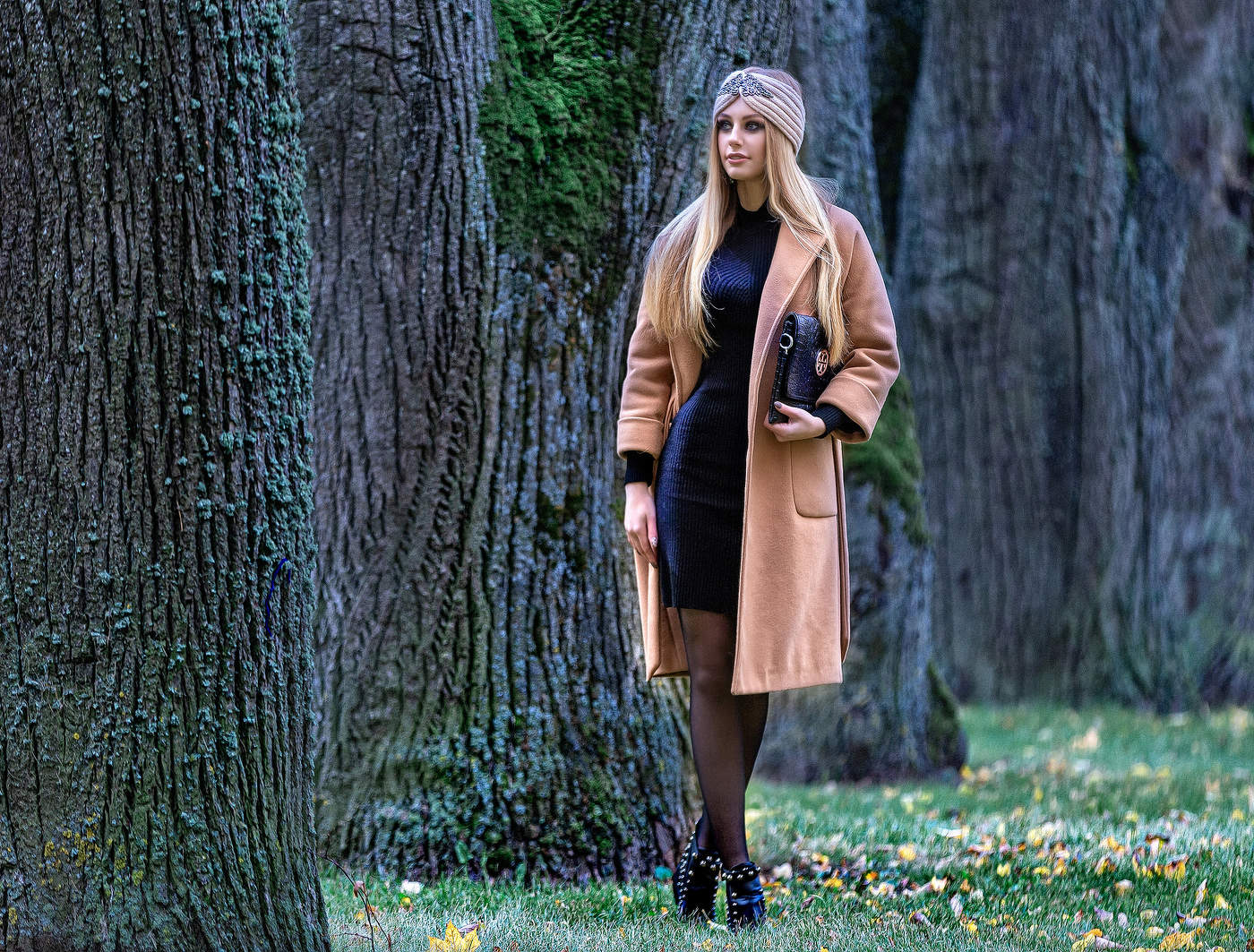 Дама с сумочкой