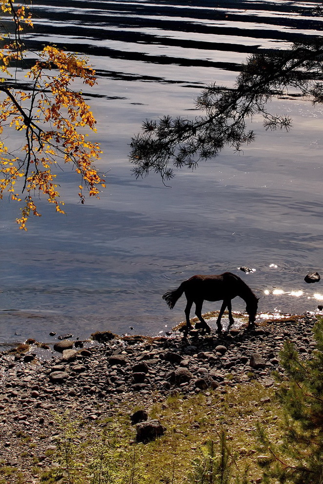 *Осенним днём.**