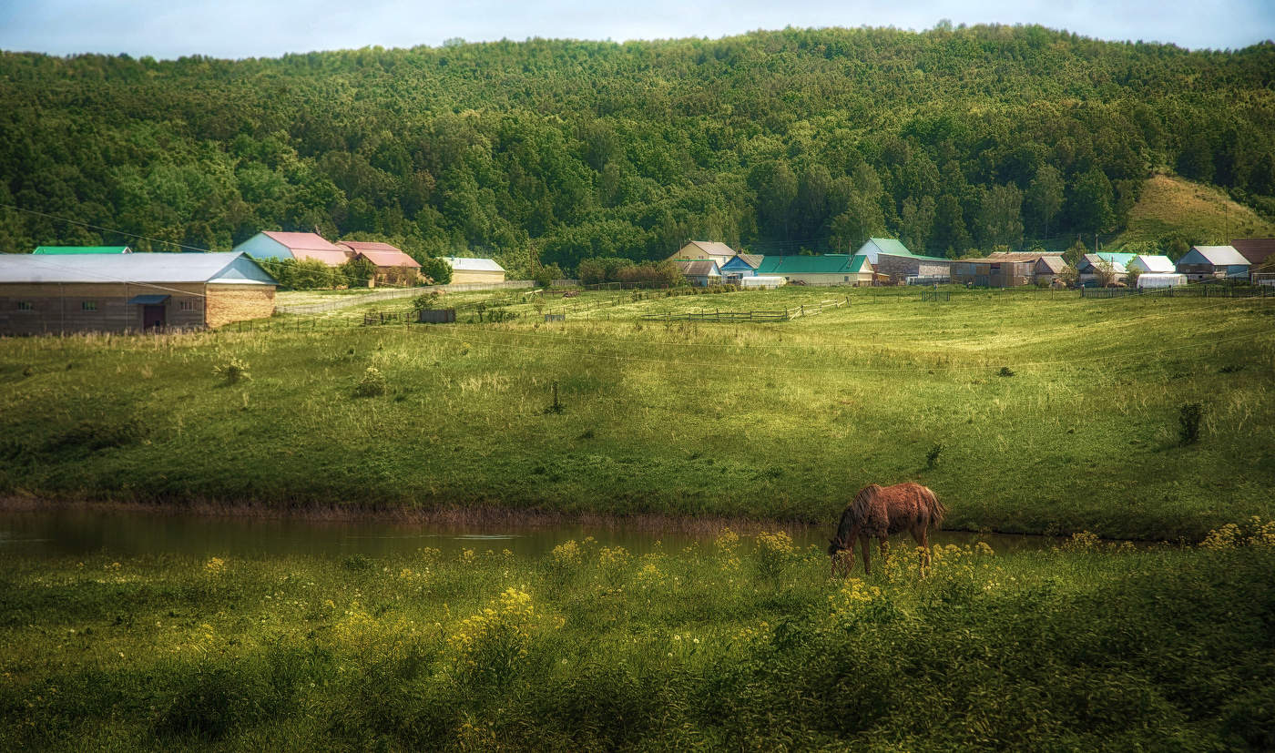 Окраина села Ермунчино