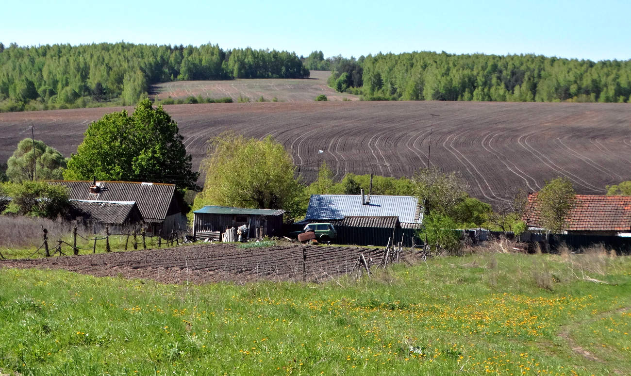 Майские поля и леса