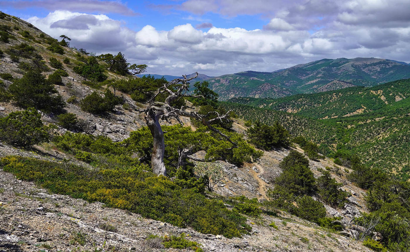 На склонах Сокола