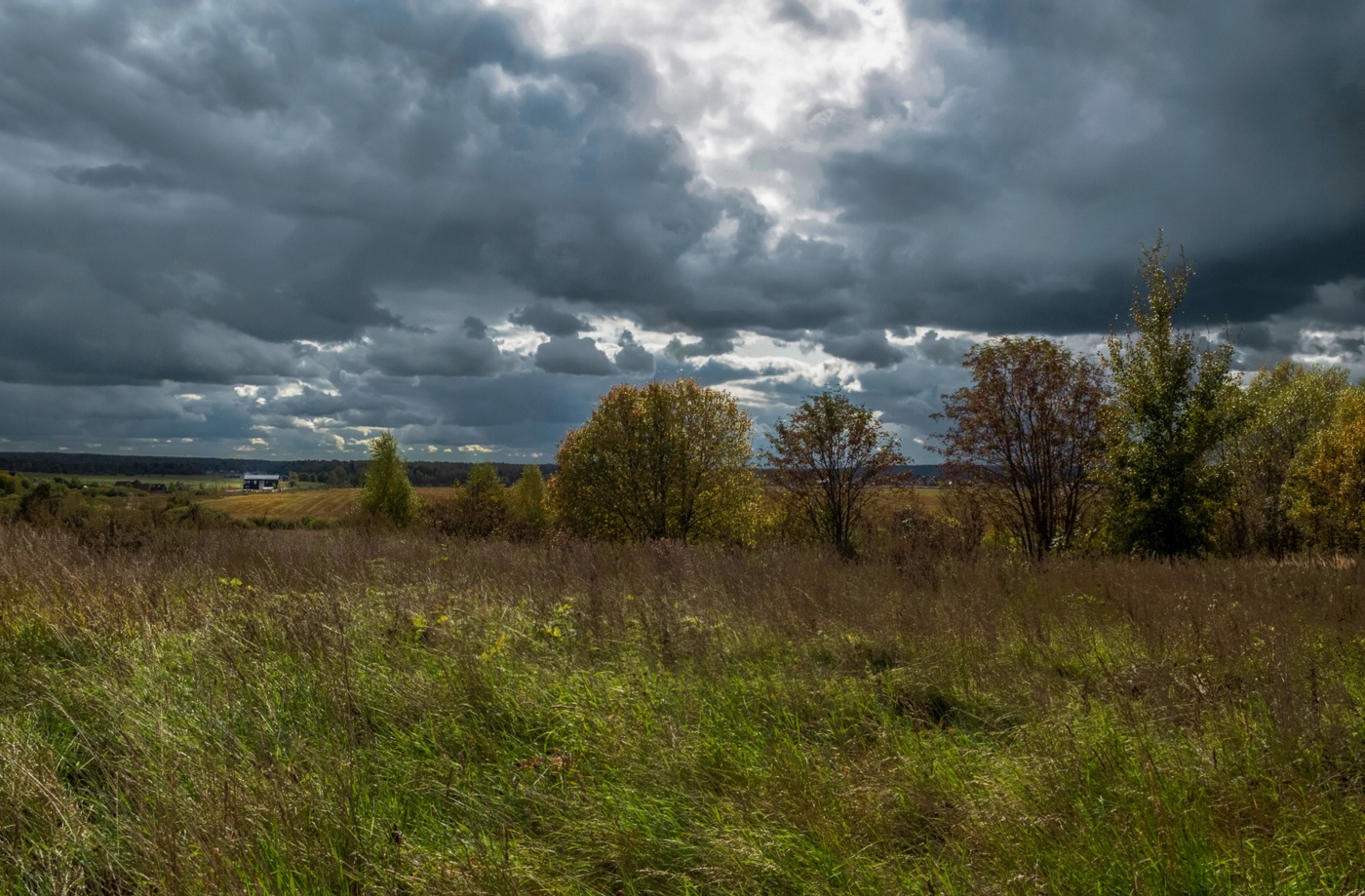 перед грозой