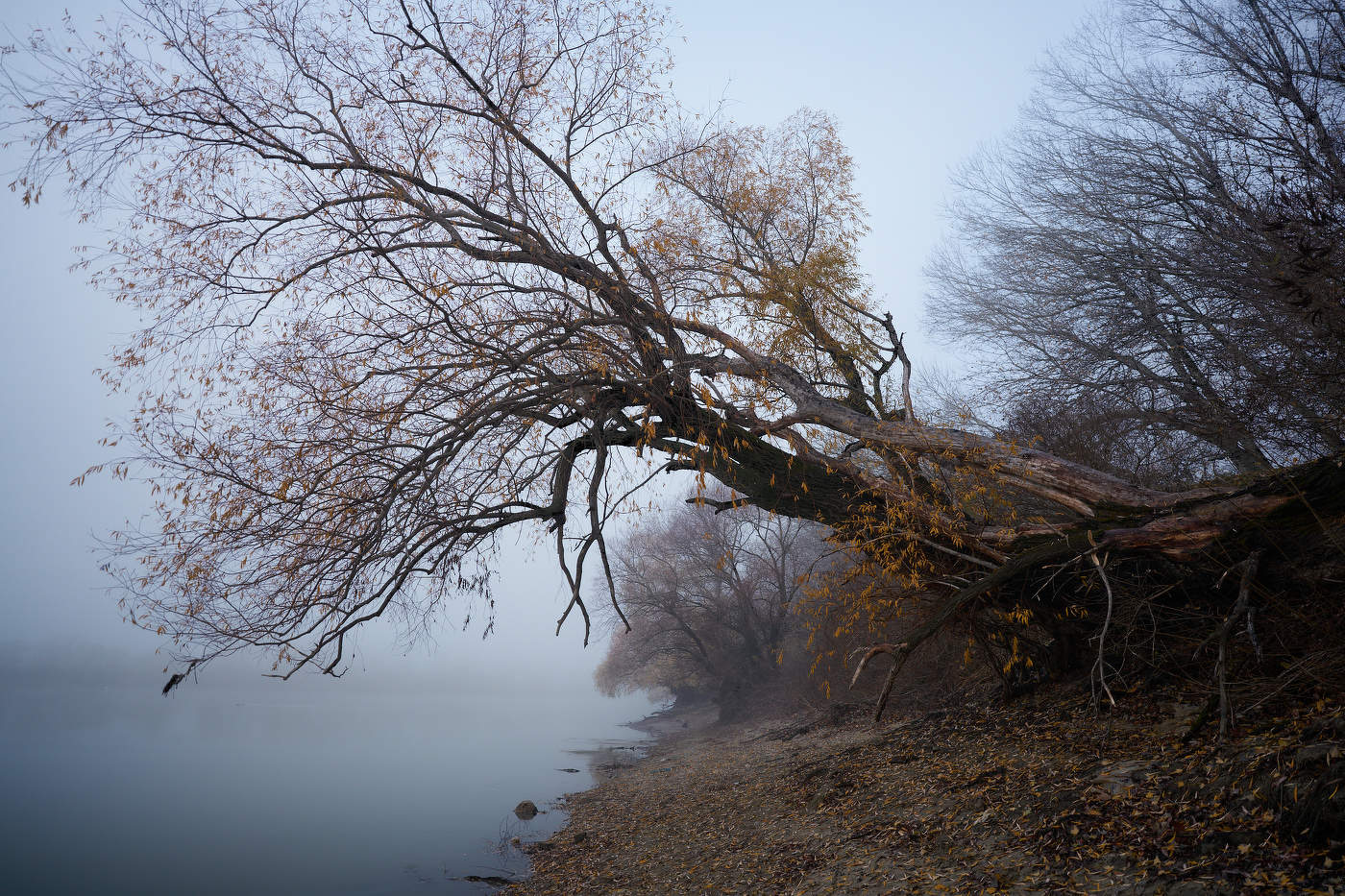 на Юге наступила зима