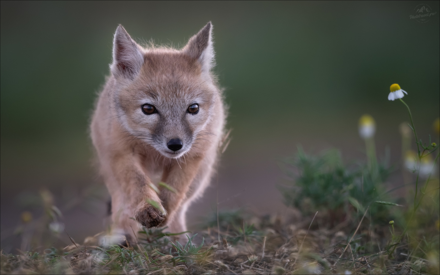 Шаг в неизведанное