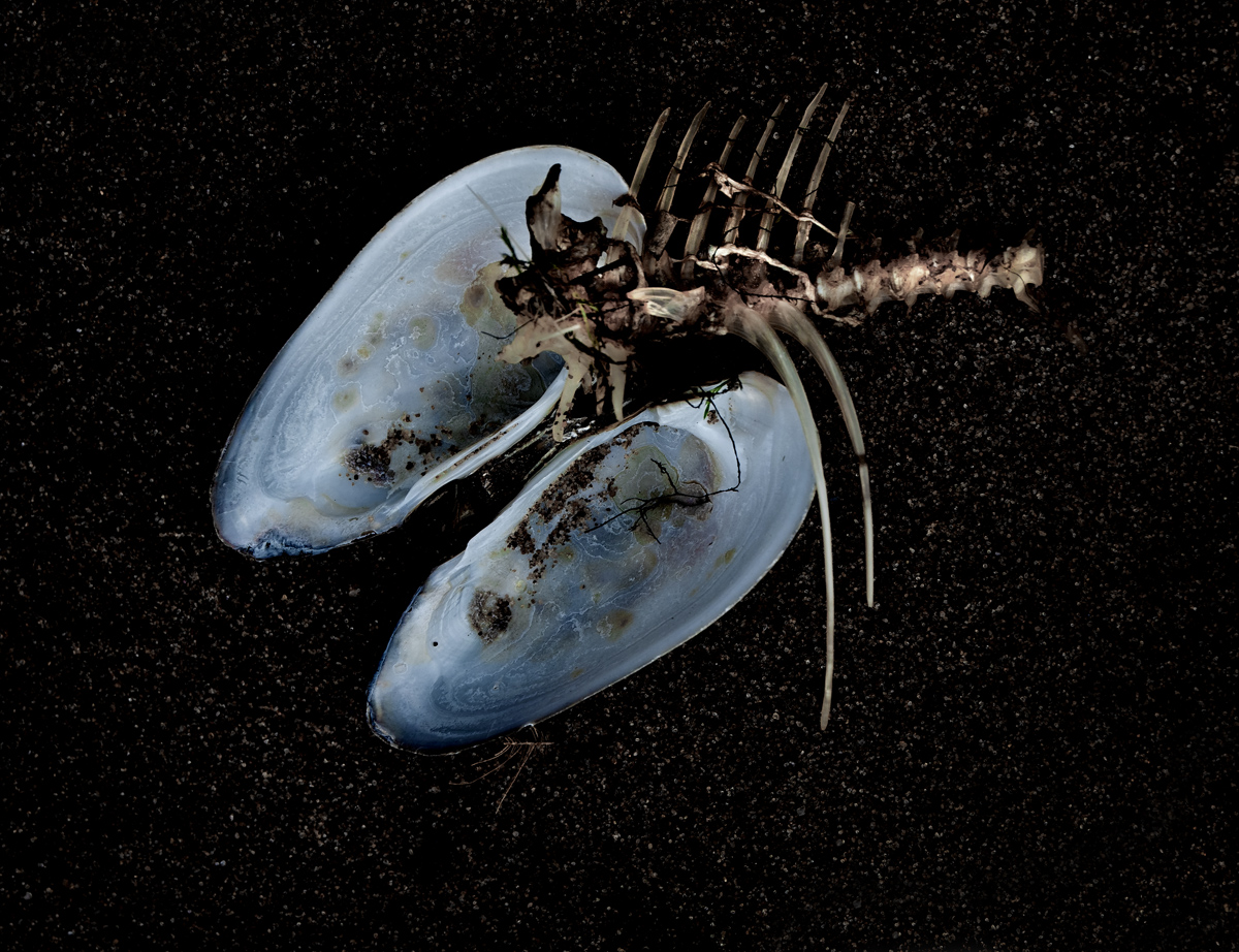 Натюрмордик