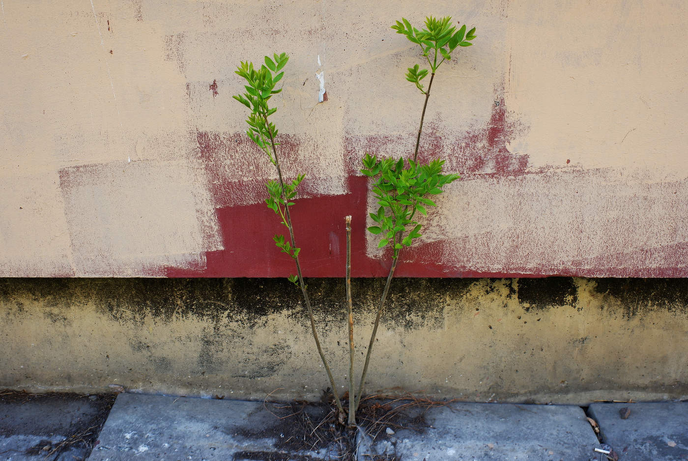 Неоконченный пейзаж