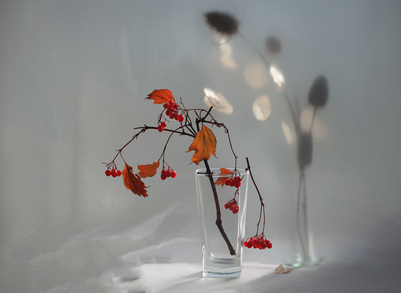 Осенний свет