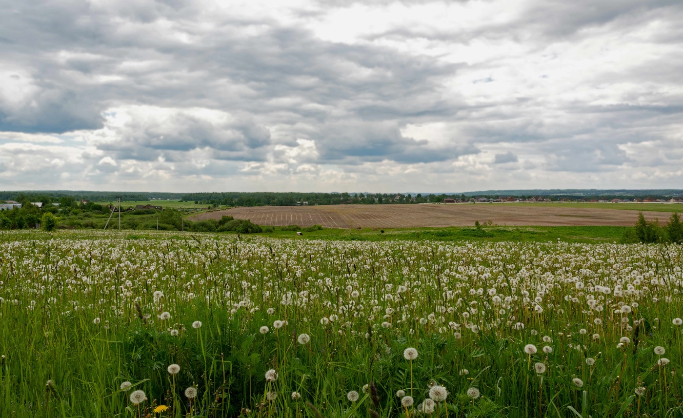 майские зарисовки