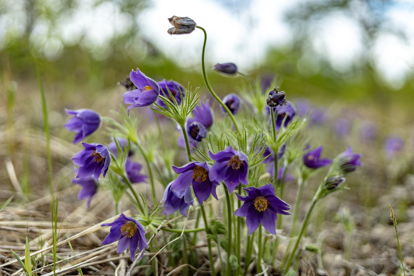 Уходящее время (1)