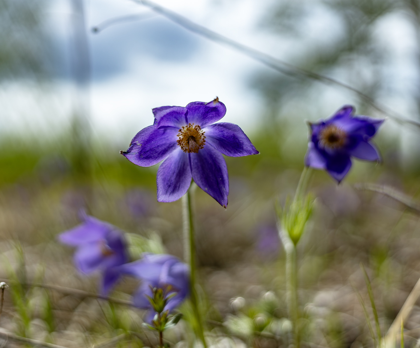 Уходящее время (2)