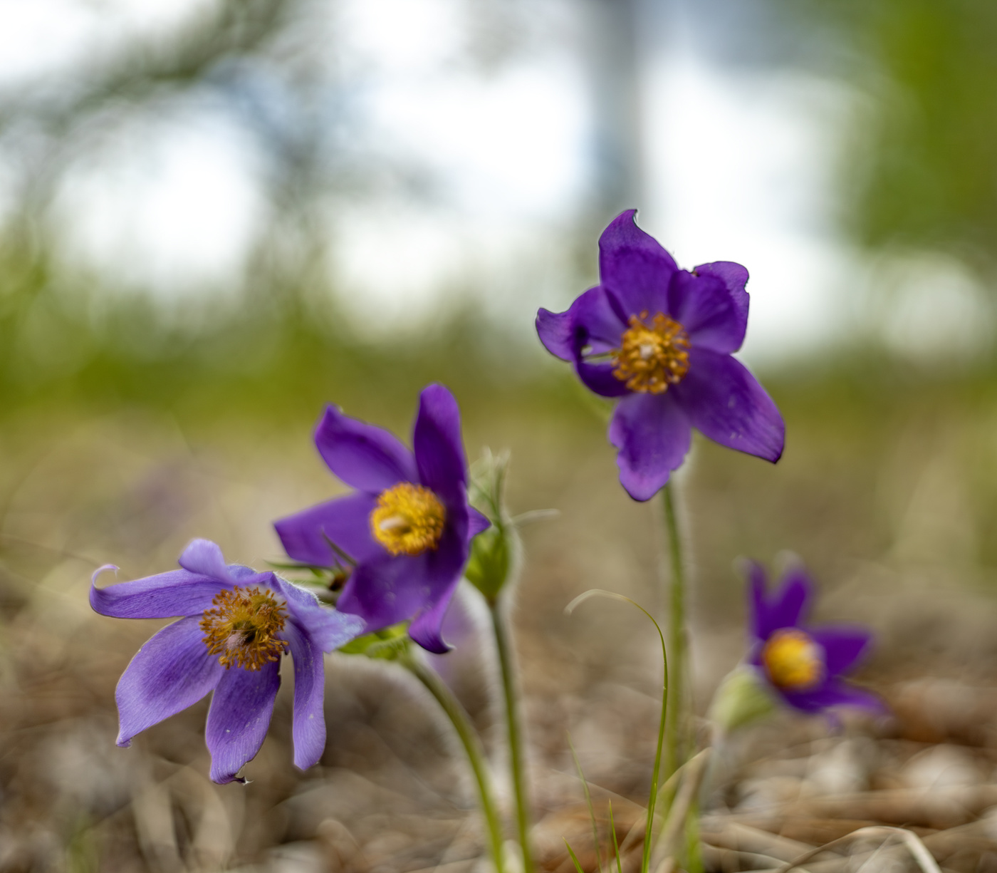 Уходящее время (3)