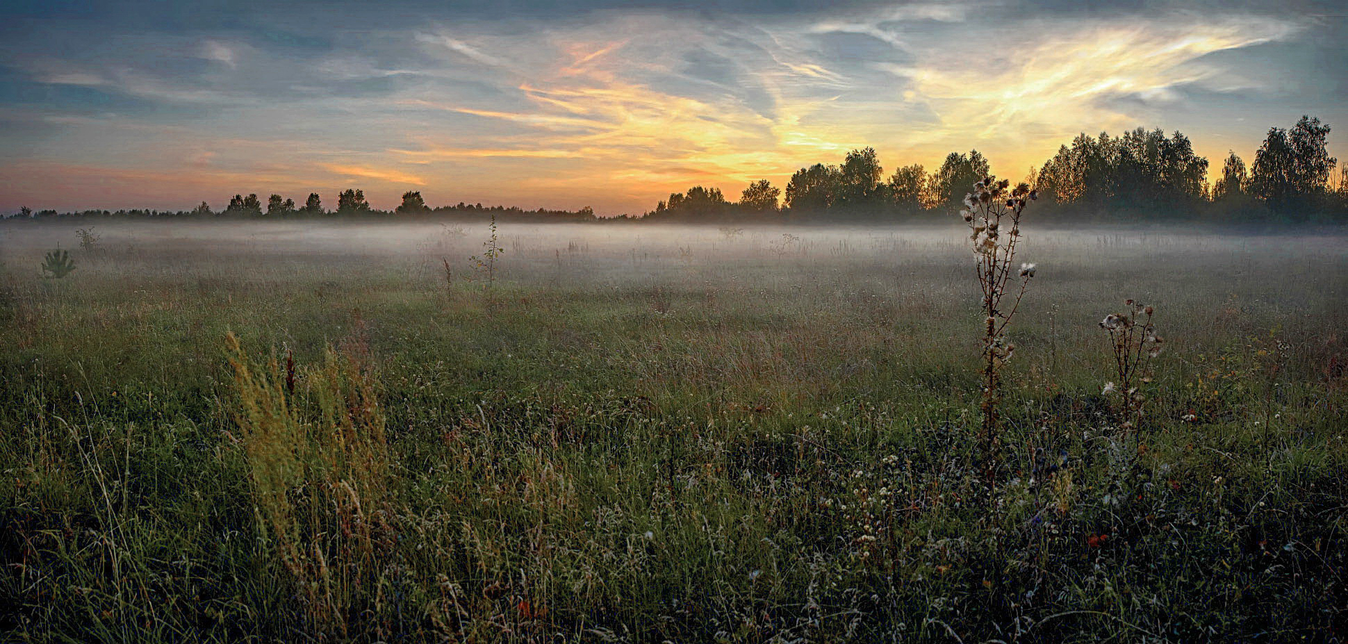 Полюшко в тумане.