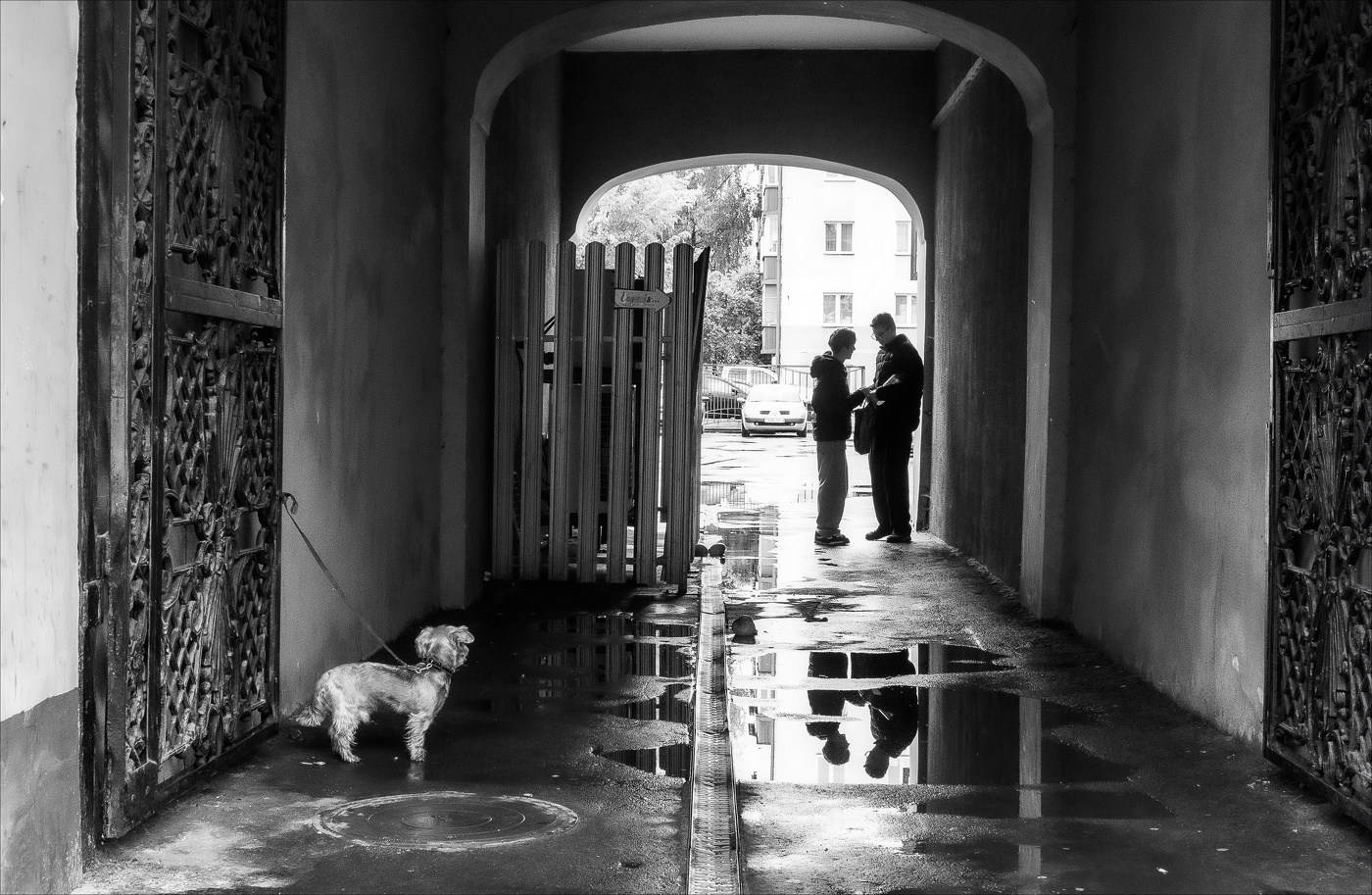 ВАЖНЫЙ РАЗГОВОР