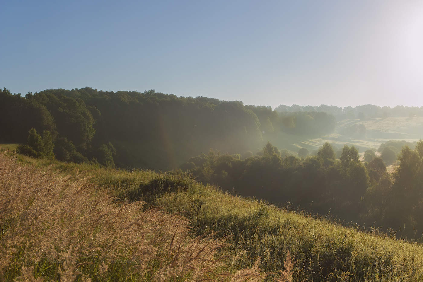 Долина тумана