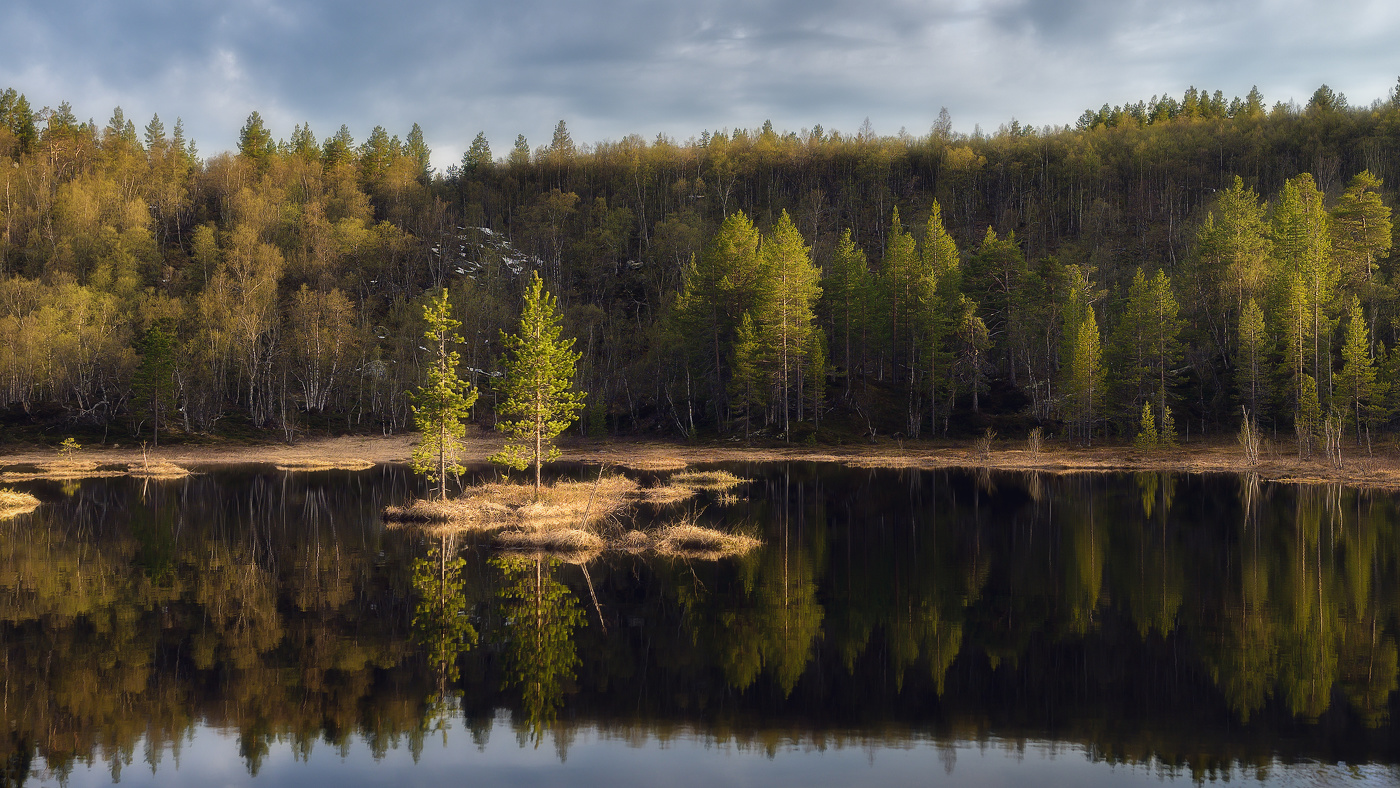 Завтра будет лето