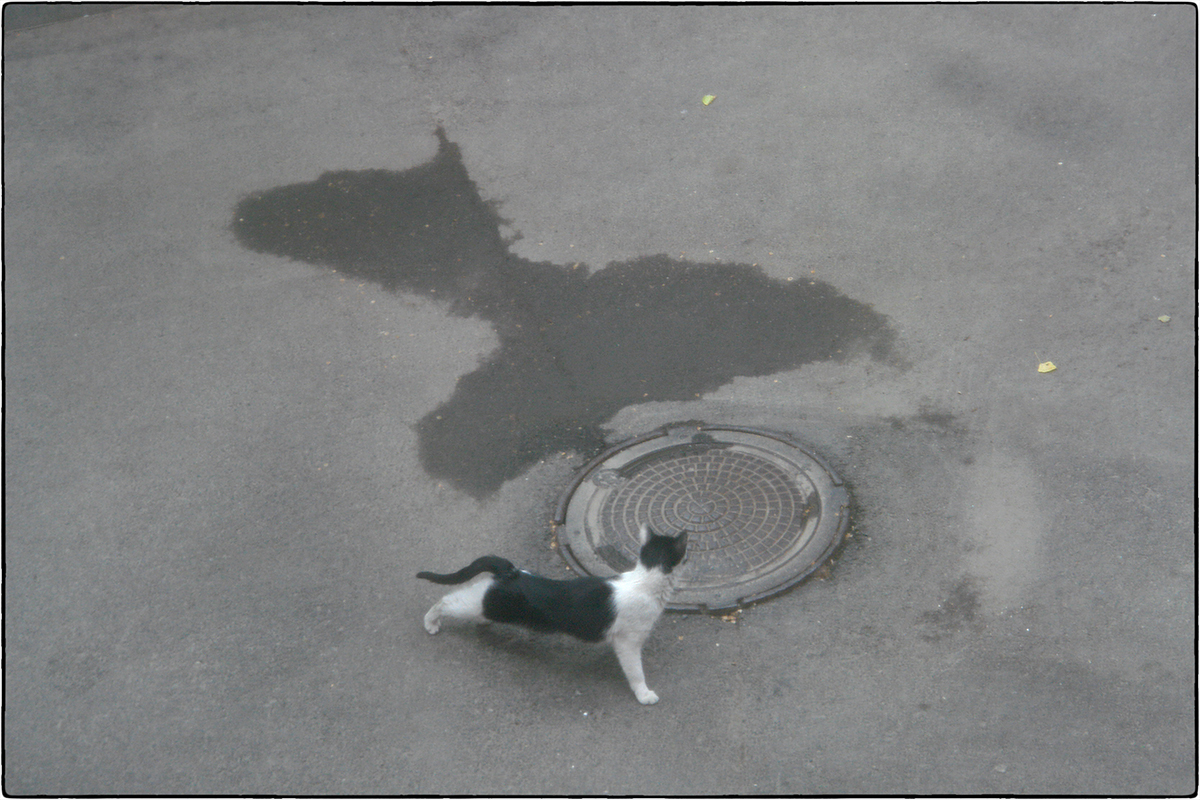 Все тот-же люк