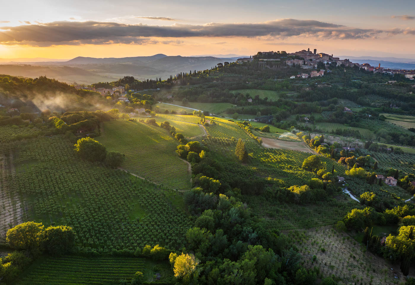 Монтепульчано