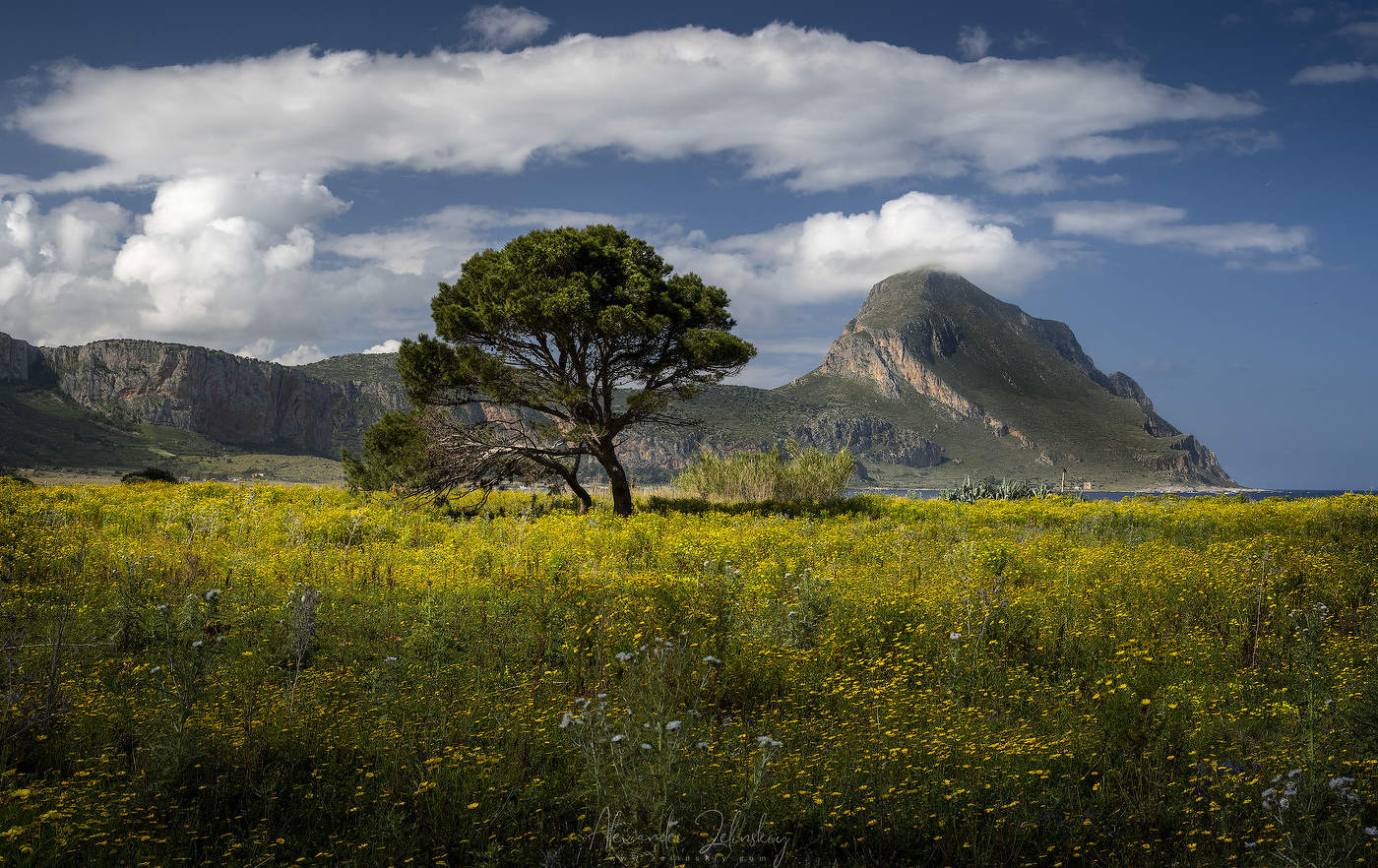 Весенний вид на Monte Cofano