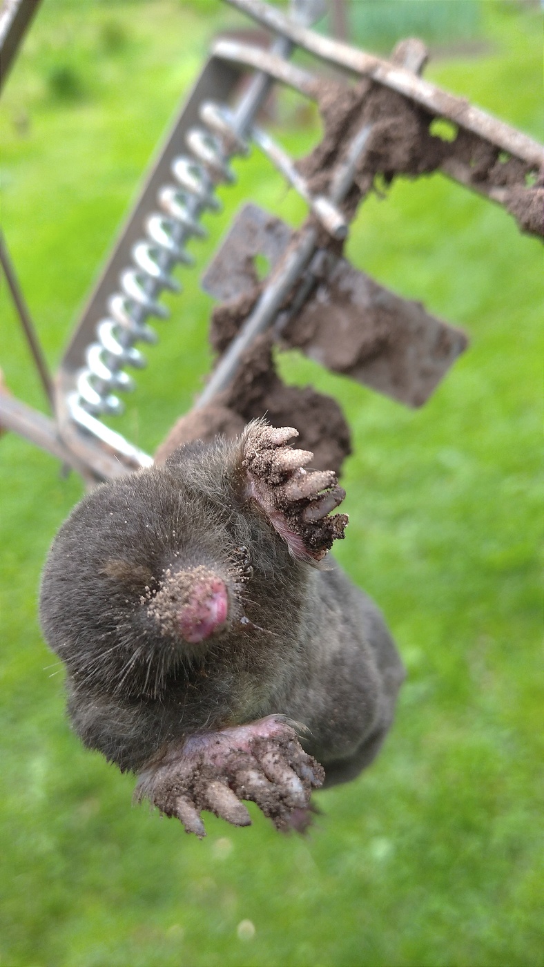 Жизнь вокруг