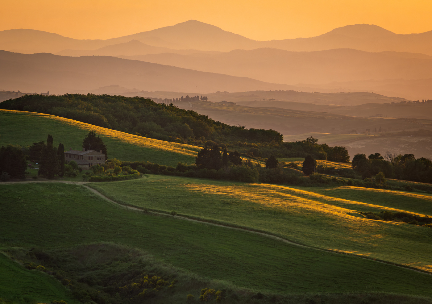 Вечерний свет