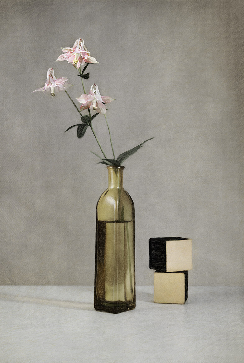 скромный цветок