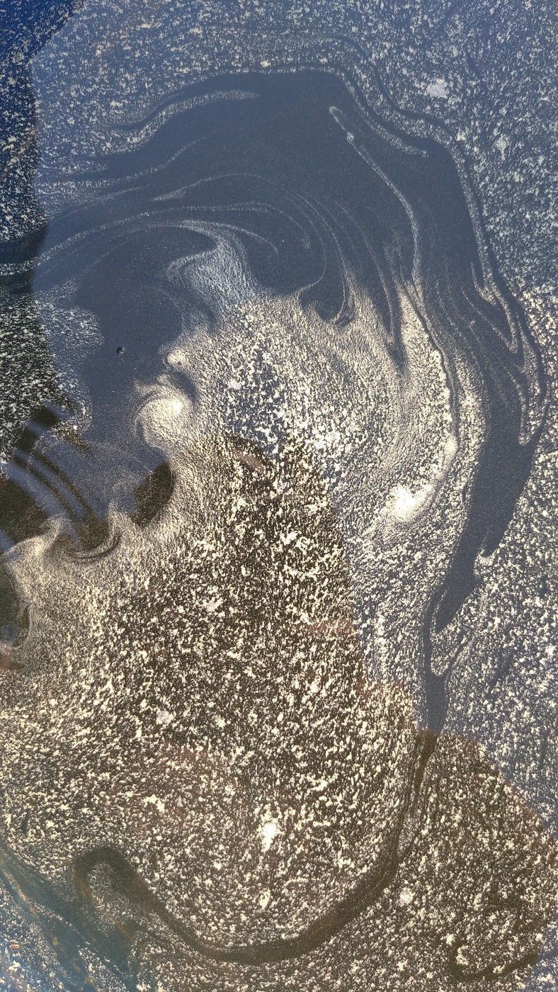 Жизнь вокруг