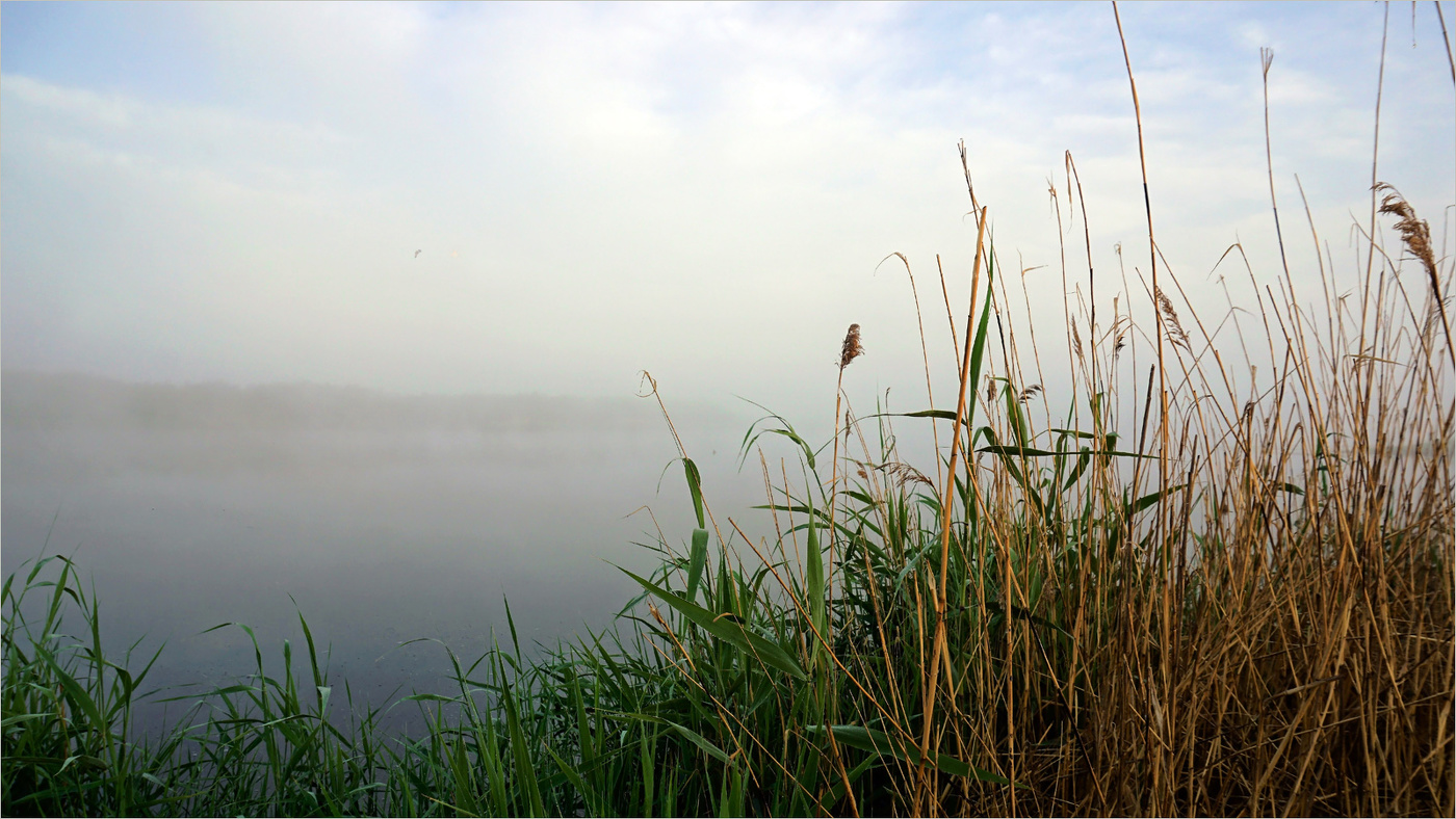 В час утренний