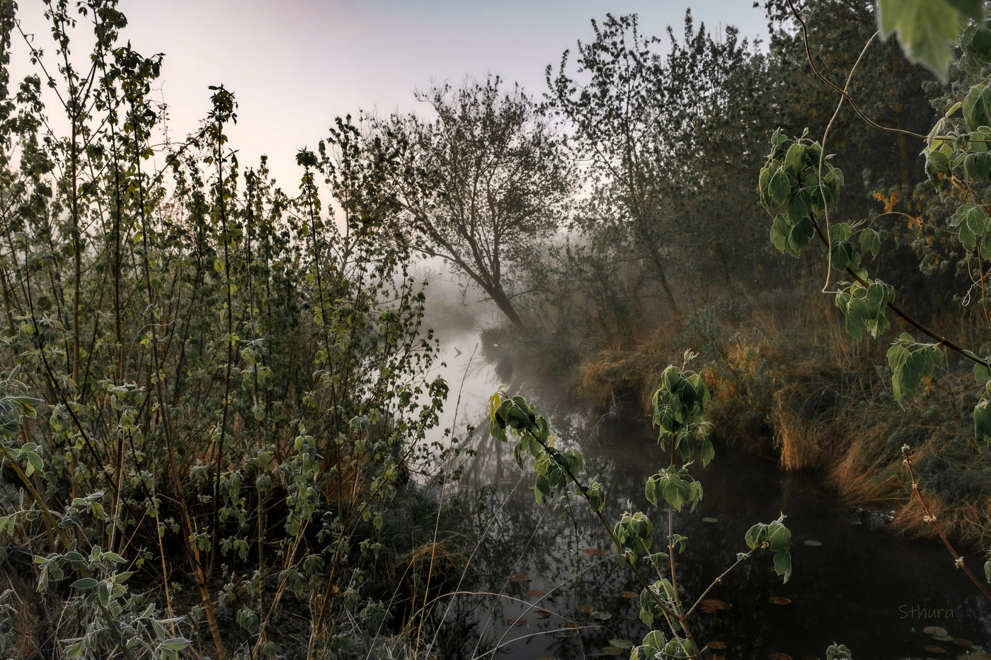 Май. Утренние заморозки.